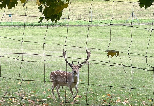 22-10-14 12-27-51 2944